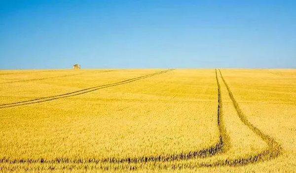 秸稈禁燒監(jiān)控系統(tǒng) 秸稈禁燒監(jiān)控系統(tǒng)